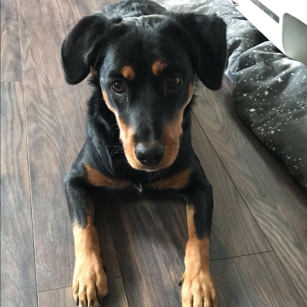 Meet your Posher, Nereyda